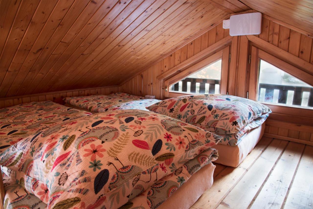 Gorska Kraina Apartment Bielsko-Biala Bagian luar foto